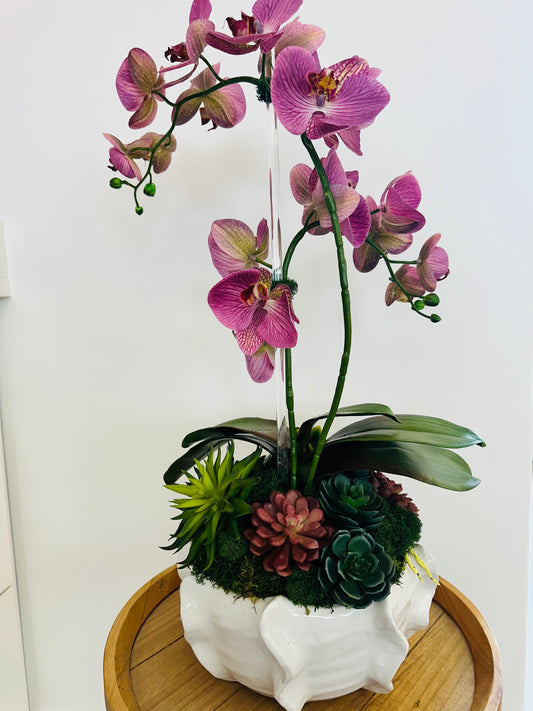 Double orchid arrangement with succulents