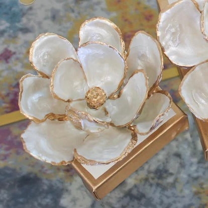 Oyster Magnolia Art - Medium