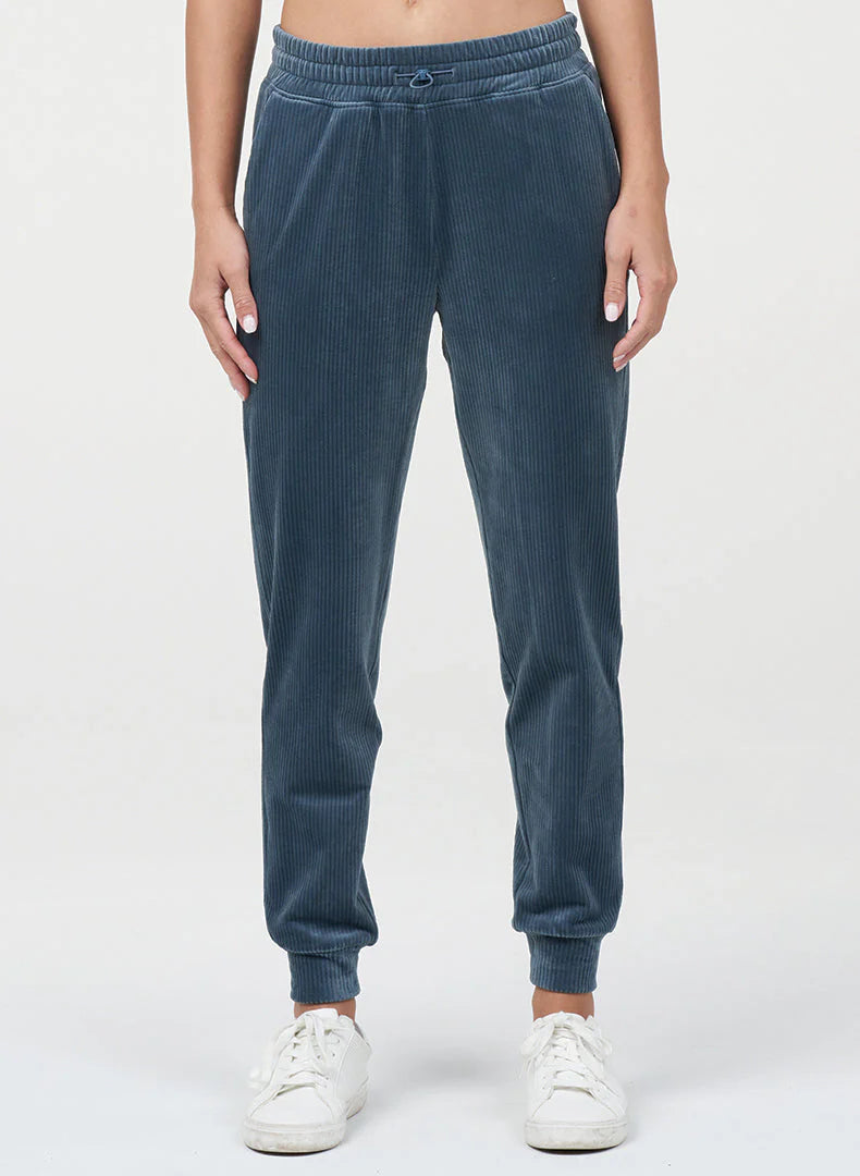 Rib Velour Jogger - Basalt