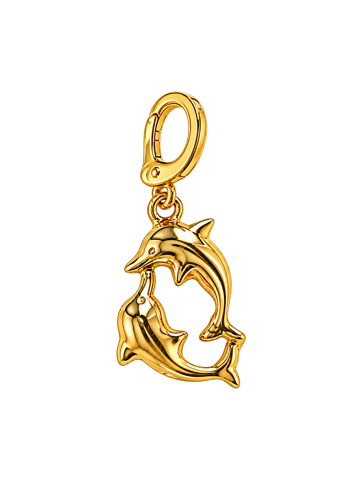 Dolphins