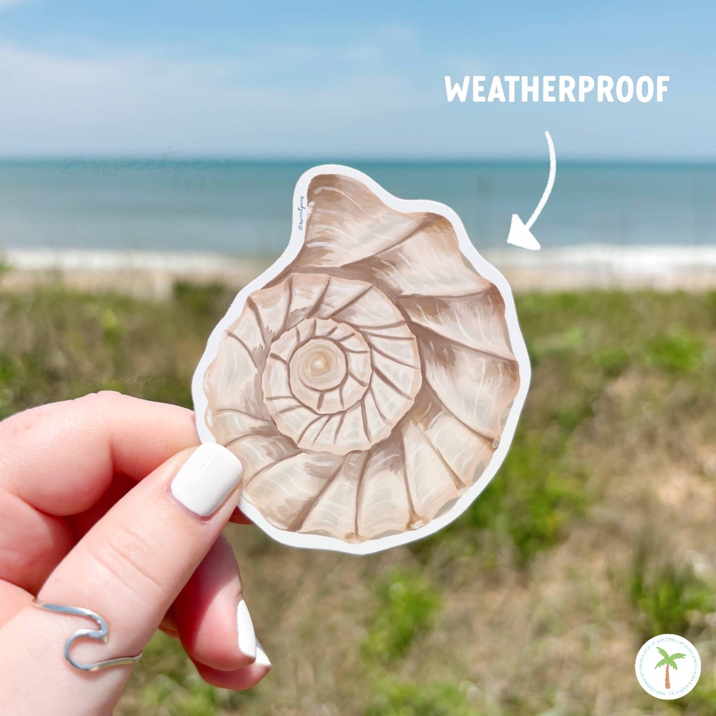 Whelk Shell Top Sticker, Beach Sticker, Seashell