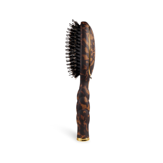Boar Brush | Full Size | Tortoise