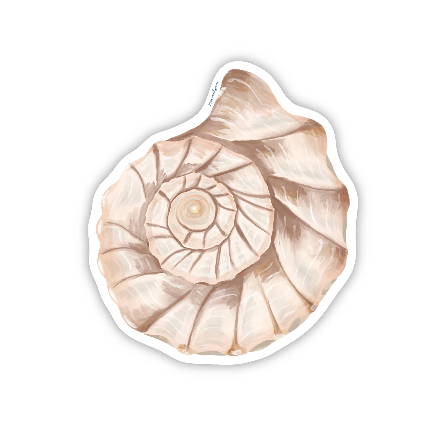 Whelk Shell Top Sticker, Beach Sticker, Seashell