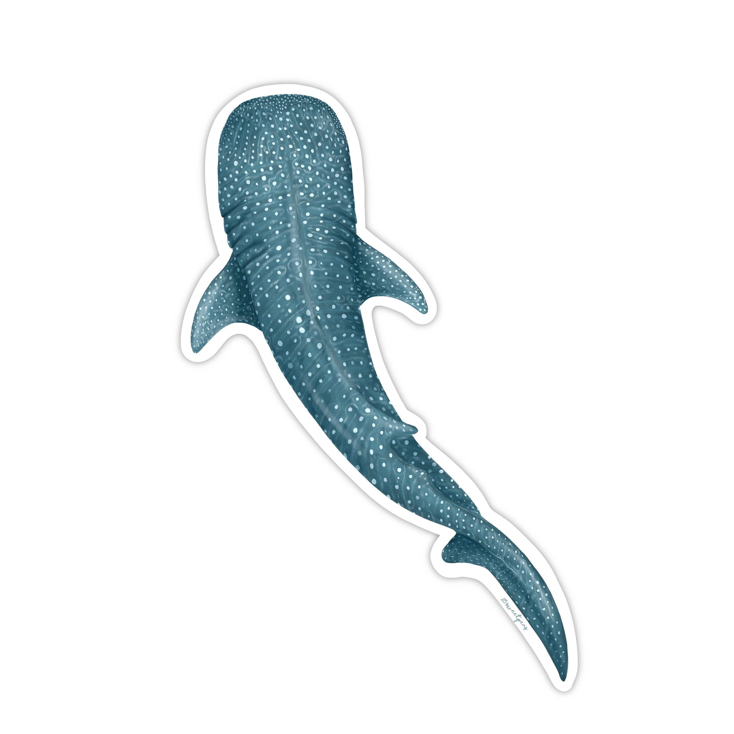 Whale Shark Sticker, Ocean Sticker, Shark Sticker
