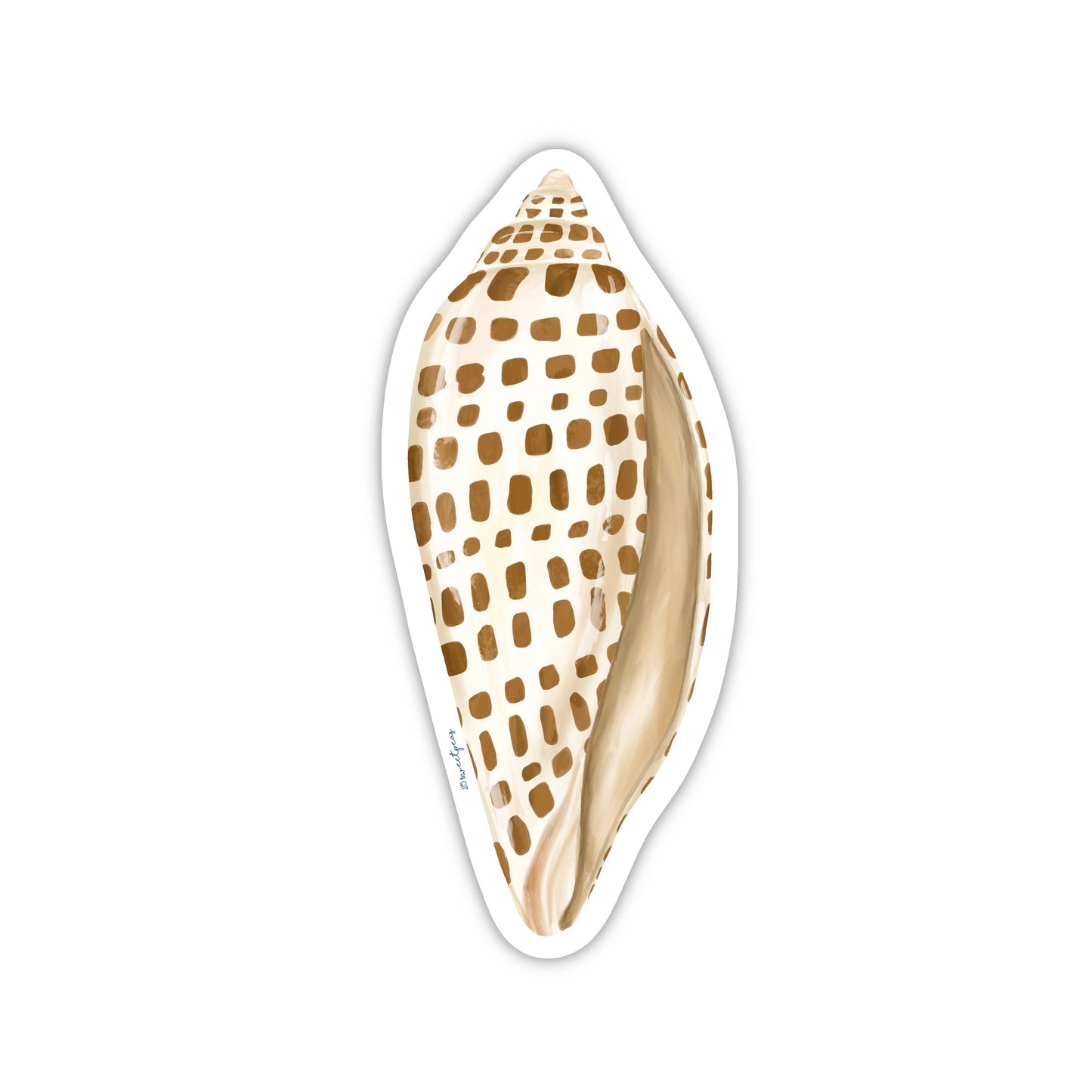 Junonia Shell Sticker, Beach Sticker