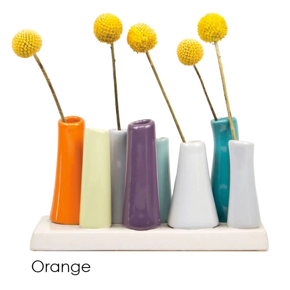 Pooley Colorful Bud Vase For Flower Arranging Rectangular