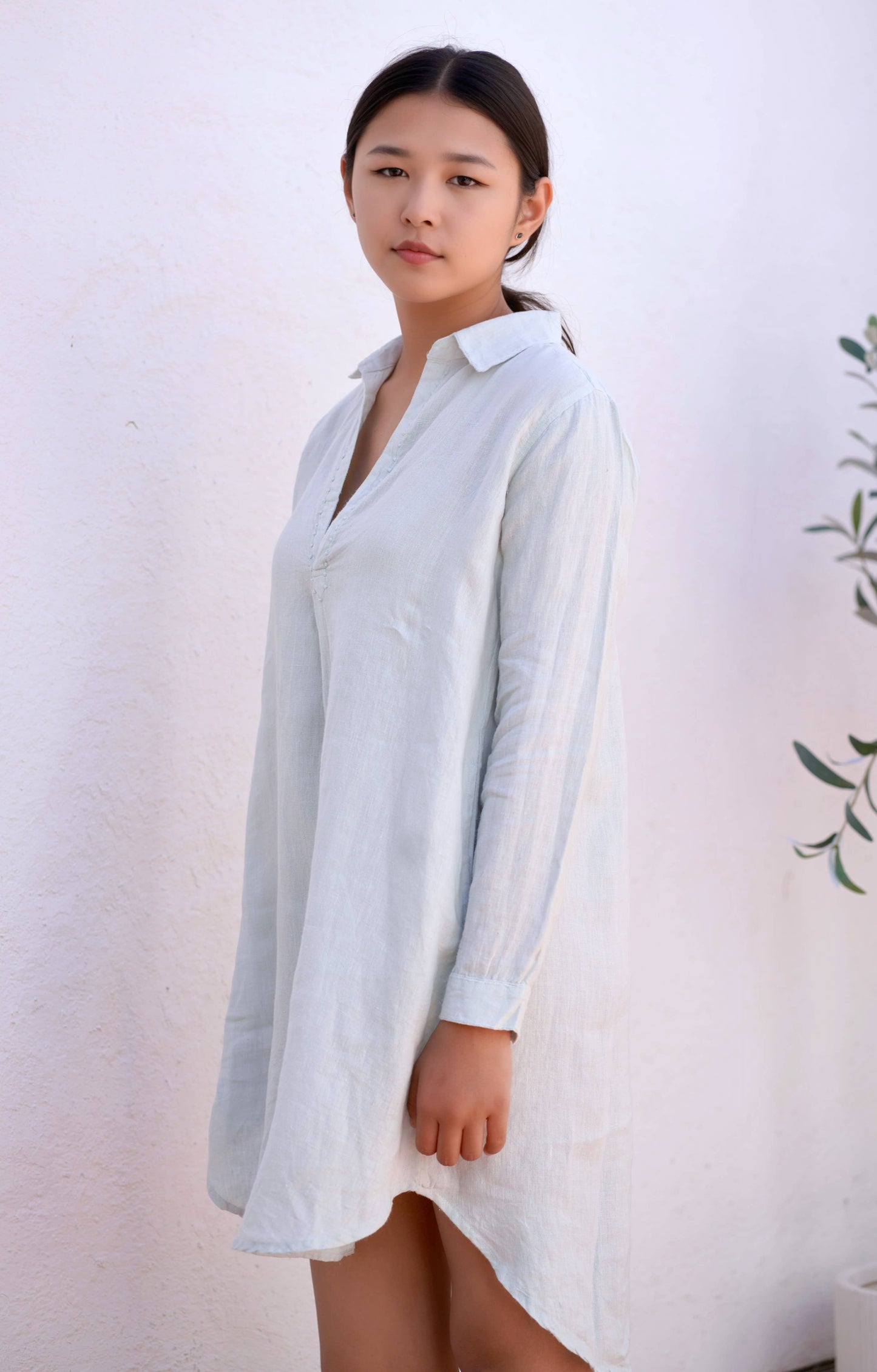 Simone Linen Tunic Dress