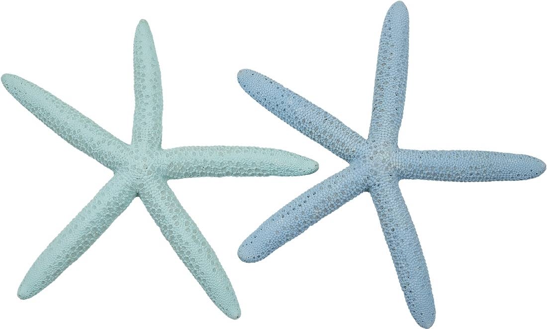 Dyed Pastel Finger Starfish 6-8"