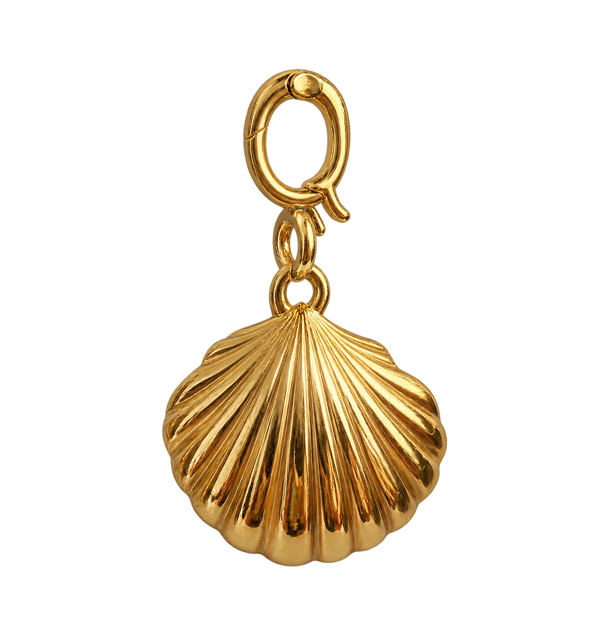 Medium Shell