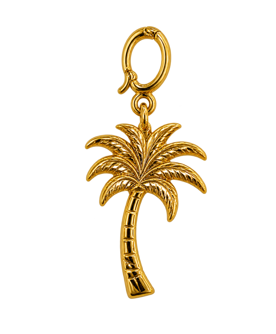 Palm Tree