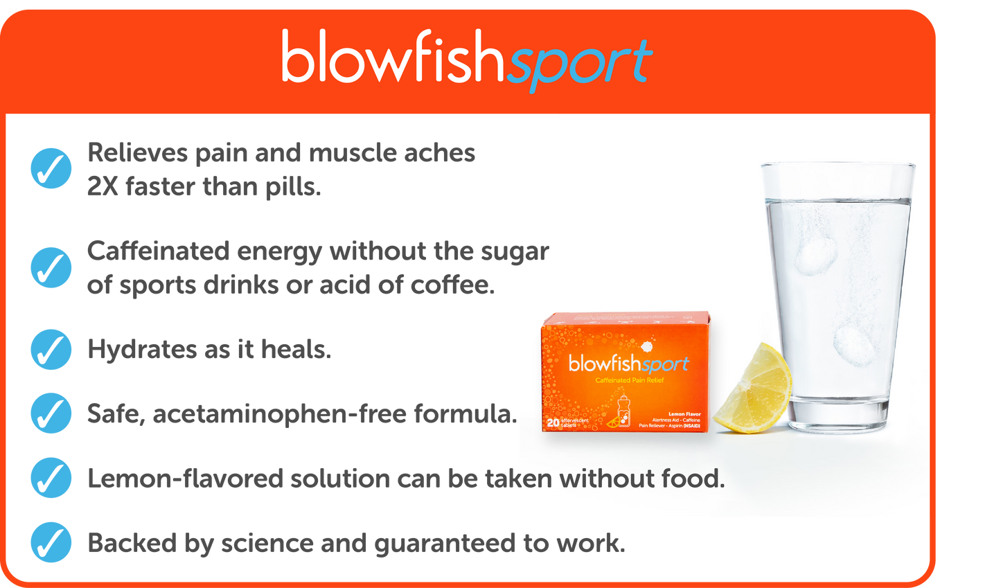 Blowfish Sport