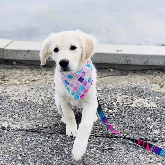 Mermaid Dog Bandana