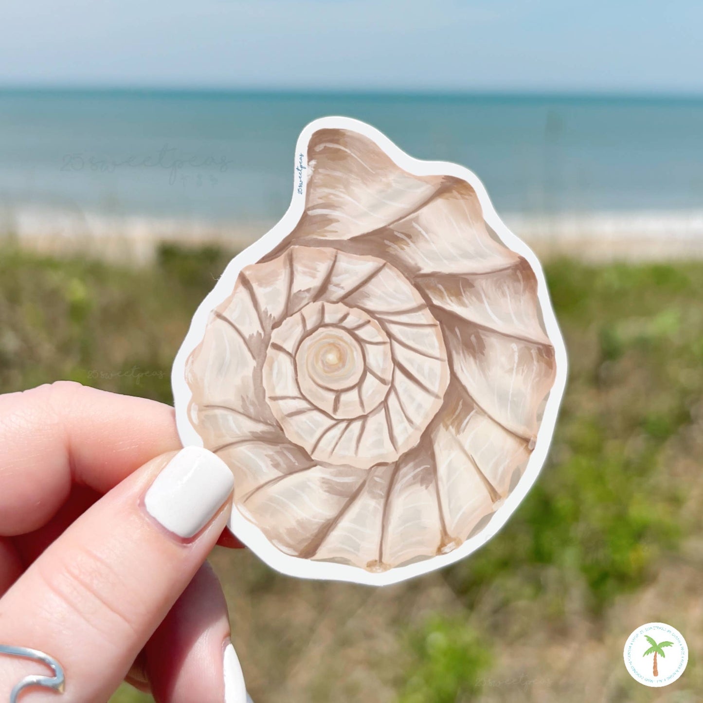 Whelk Shell Top Sticker, Beach Sticker, Seashell