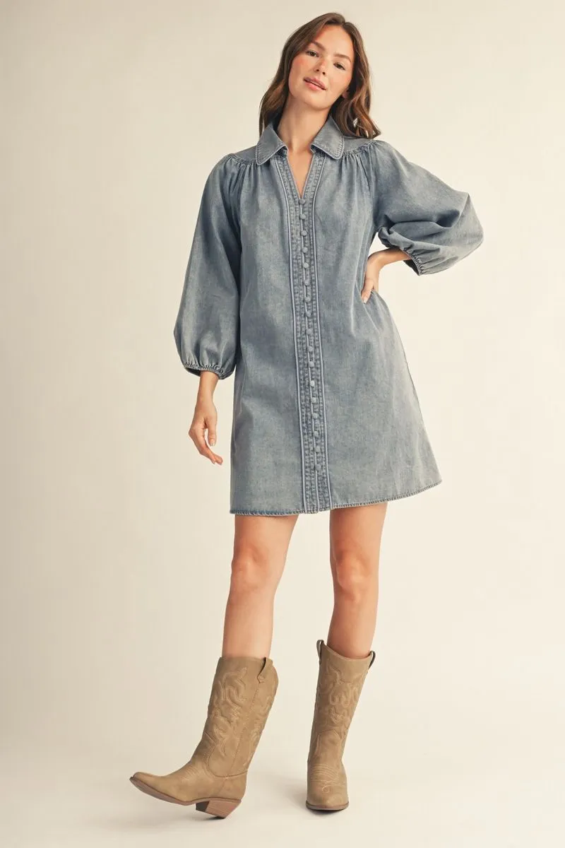 Denim Button Front Mini Dress