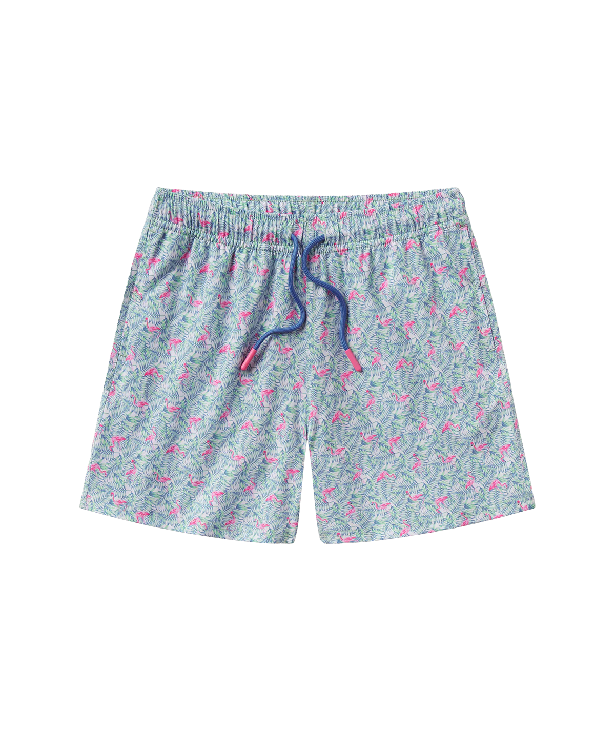 Boys Lets Flamingle Swim Shorts