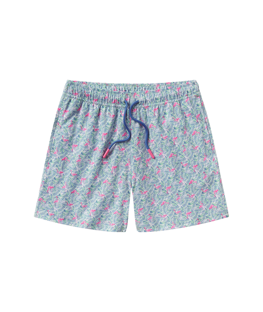 Boys Lets Flamingle Swim Shorts