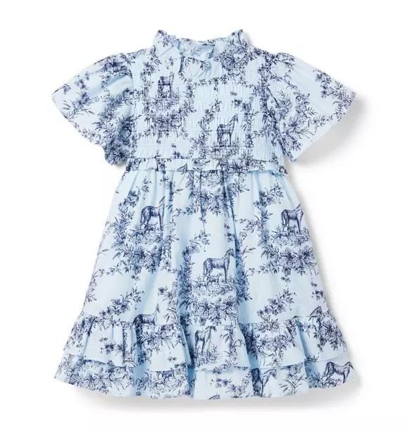 Blue Toile Dress